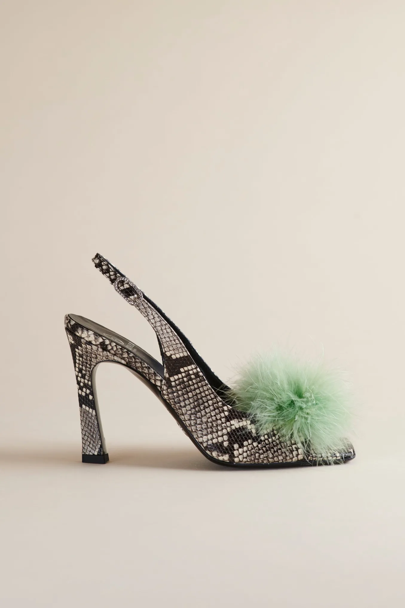 Holly Pump In Cactus