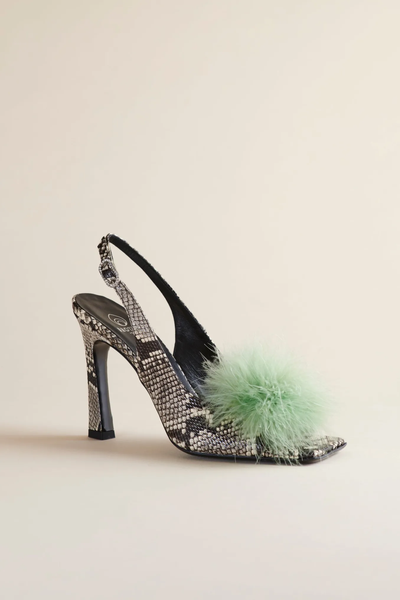 Holly Pump In Cactus