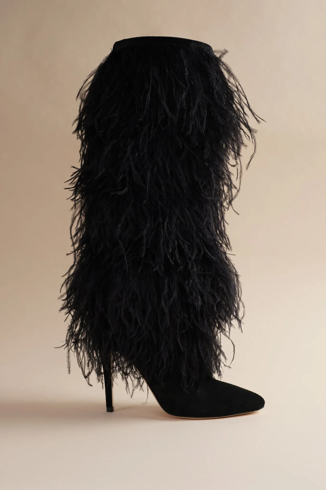 Palms Boot In Black Bird